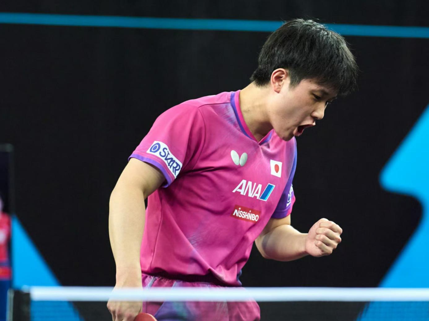 关于中国队逆转波兰队，张本智和高光表现的信息